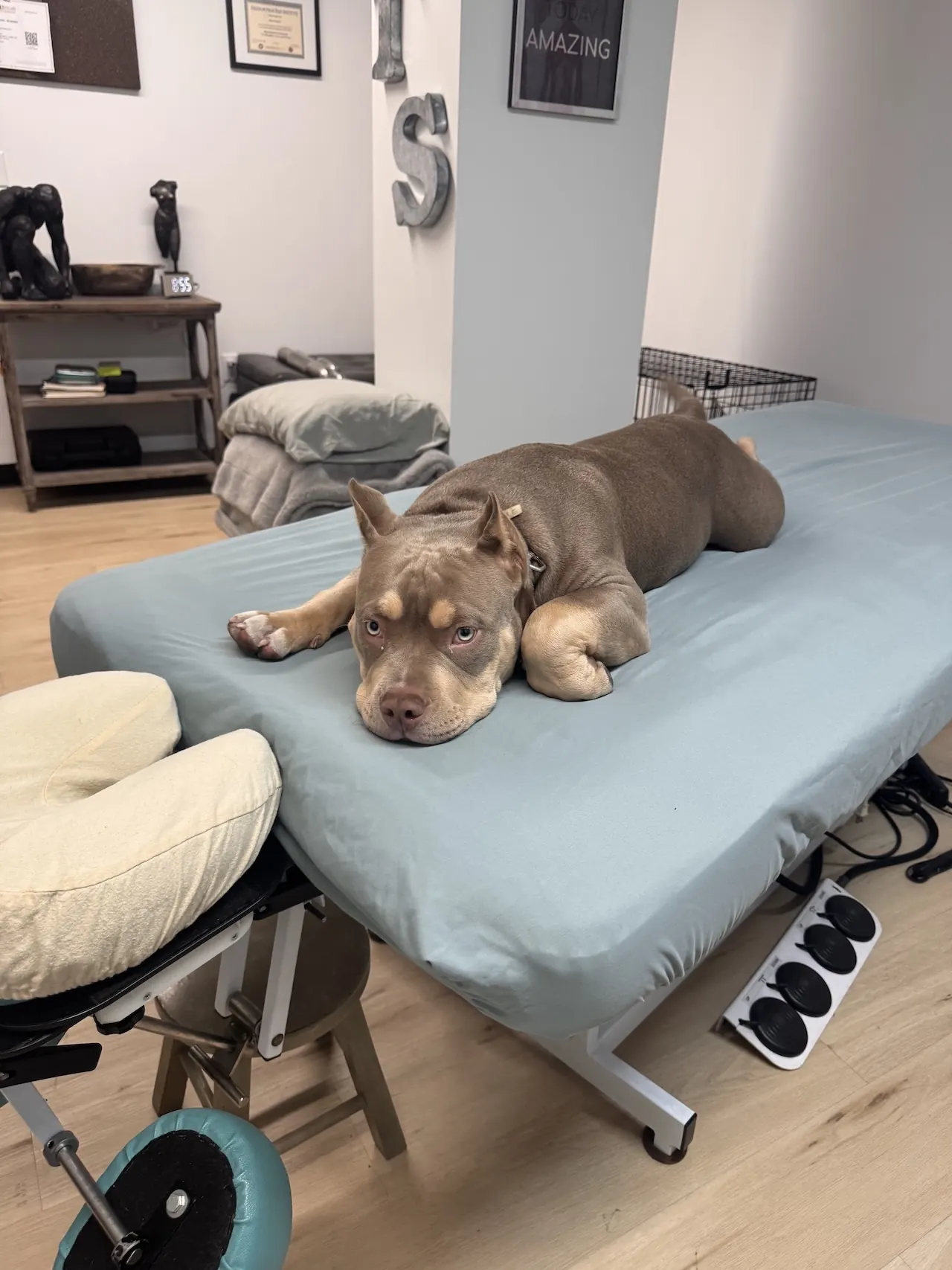 Sandy Medical Massage Therapy
